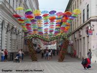 Imagine atasata: Timfloralis - 2015.05.20 - 13.jpg